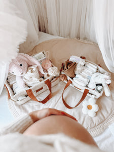 Vanilla Teddy Nappy Caddy - XL